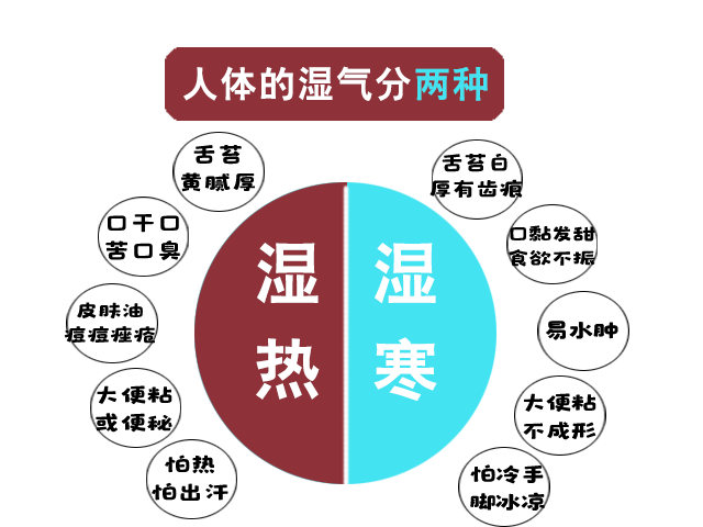 人体湿寒分两种.png